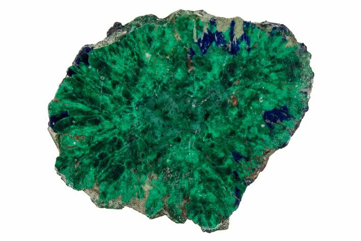 Vivid Green, Cut/Polished Malachite & Azurite Nodule - Siberia #335236
